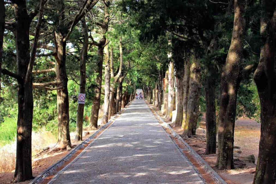 Oros Paradise Location 3